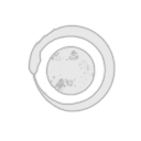 BlaqK Inc.