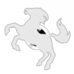 My Corp My Rules logo