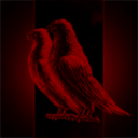 Suicide Birds