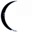 Tempra Fleet