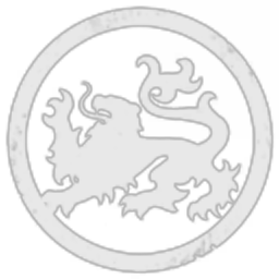 Dragons Interstellar Corporation