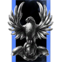 Majour Prolapse Corperations