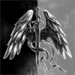 Aquila Wings