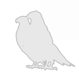 Night Owls Legion