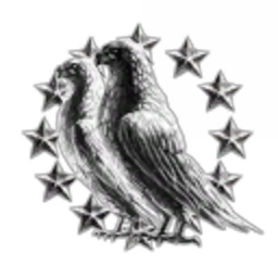 EVEinside Holding Inc.