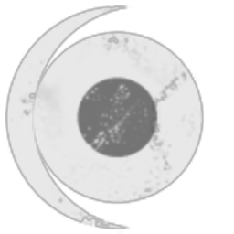 Planetary Defense and Security Council