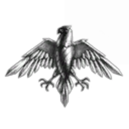 Federal Warrior Of Amarr