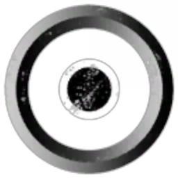 Caldari Academy of Independant Research