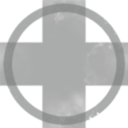 Black Hole Group