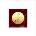 Cosmic Beavers