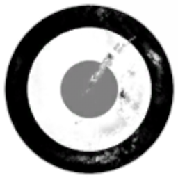 The Wings of Liberty