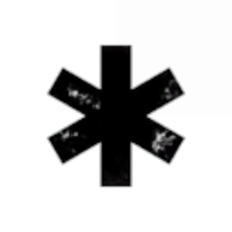 Black Risk Force