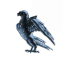 Flying to the dream