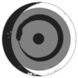 Corporation 98522536