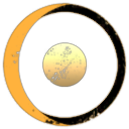 The Galilean Moons