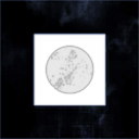 Nocturnal Visions