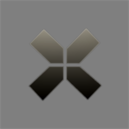 X Capital