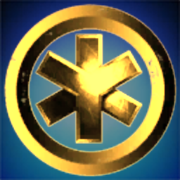 The Holistic Combat Corporation