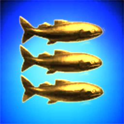 The Fish Collective