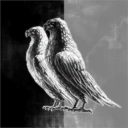 The Devils Paradox HC