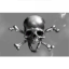 The Jolly Roger.