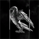 RAVEN Space Co
