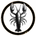 Noob Cynabal