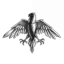 Free-pack Corporation Aquila chrysaetos