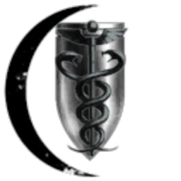 Wormhole Expeditionary Task Force logo