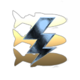 Lightning Fish INC
