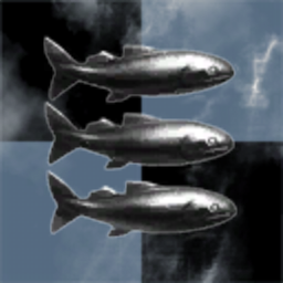 A homeless fisherman