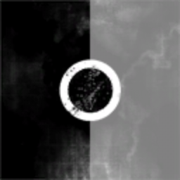 Shady Corporation322