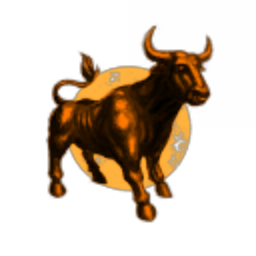 Bychkiv Corporation