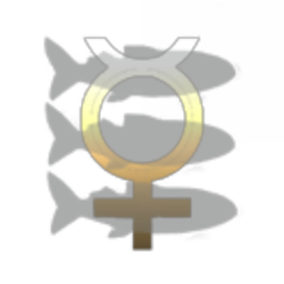 Saint Kitty Witnesses