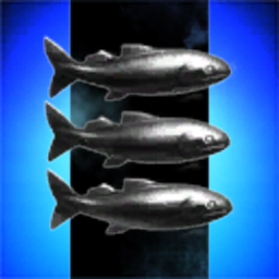 Pebble Beach Dive Club