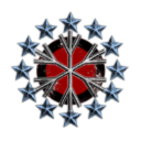 ICE Holding