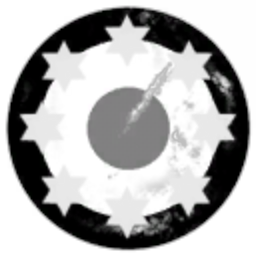 ENS Trader Corporation