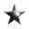 Silver star 2020