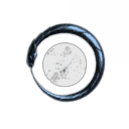 Incursion Tax Avoidance