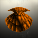 Trinity Sea Shells