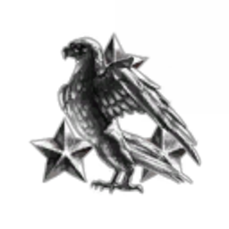 THE SOLO TURK
