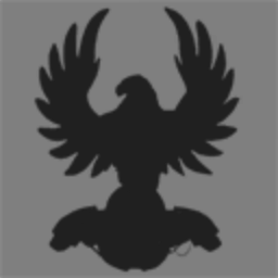 The Shadow Government