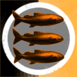 MOLCAR Drone Development