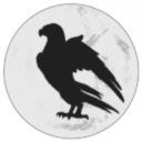 Nocturnal Noir