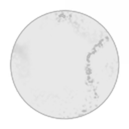 LunaMaria Service