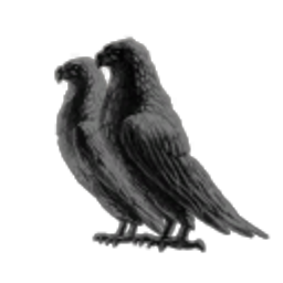 Rooks And Pings logo