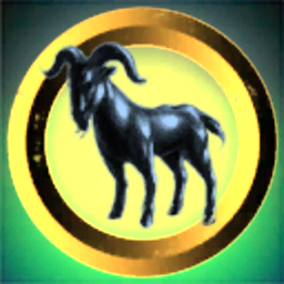 Capricorn Corporation