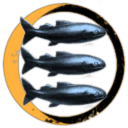 Free Shuttle Cooperative