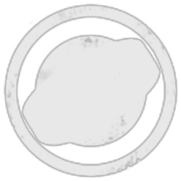 M0chi M0chi Company logo
