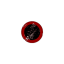 In astra veritas